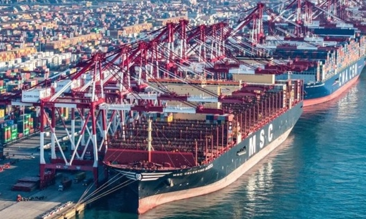 Giữa tâm bão thuế quan, WTO phát thông báo quan trọng về thương mại toàn cầu