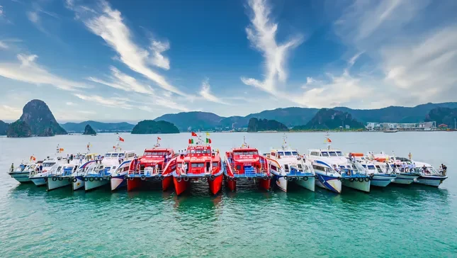 Đặc khu Vân Đồn, Cô Tô có gì đặc biệt? ảnh 4
