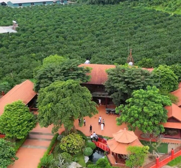 Gia tài 'khủng' của trùm giang hồ vừa bị công an phong tỏa tài sản: Bất động sản, trang trại 34ha như resort, nuôi cả lạc đà nhập khẩu - ảnh 5