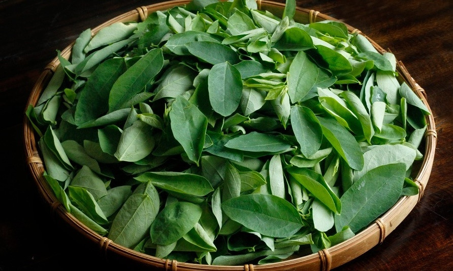 Nông dân TP.HCM trồng thứ rau chỉ cần tưới ít nước mọc tua tủa, mùa hè ăn thanh mát: Chỉ 4 sào đã đổi đời, tiền tiêu rủng rỉnh
