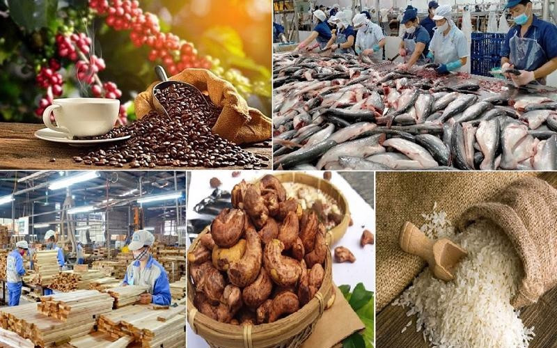 Xuất khẩu nông sản bứt tốc: Tổng kim ngạch đạt gần 34 tỷ USD trong nửa đầu năm, tăng 15,5% so với cùng kỳ