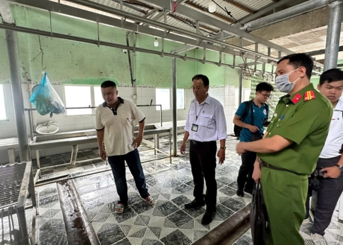 Vụ thịt heo C.P. Việt Nam: Nhân viên đóng dấu kiểm dịch sai bị kỷ luật, chuyển nhiệm vụ công tác