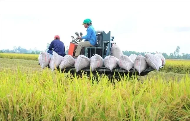 Việt Nam thu về 33,8 tỷ USD từ xuất khẩu nông sản, giao thương với Mỹ tăng mạnh ảnh 1