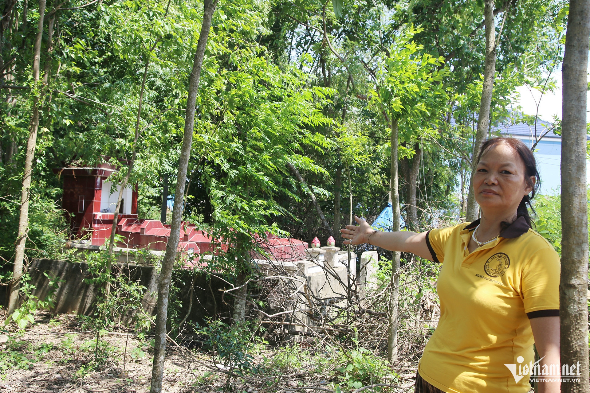 Giá đất cao .jpg