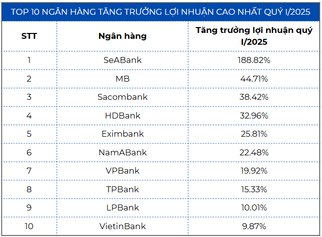 Điểm danh chiến lược dẫn dắt lợi nhuận ngành ngân hàng trong 6 tháng đầu năm 2025