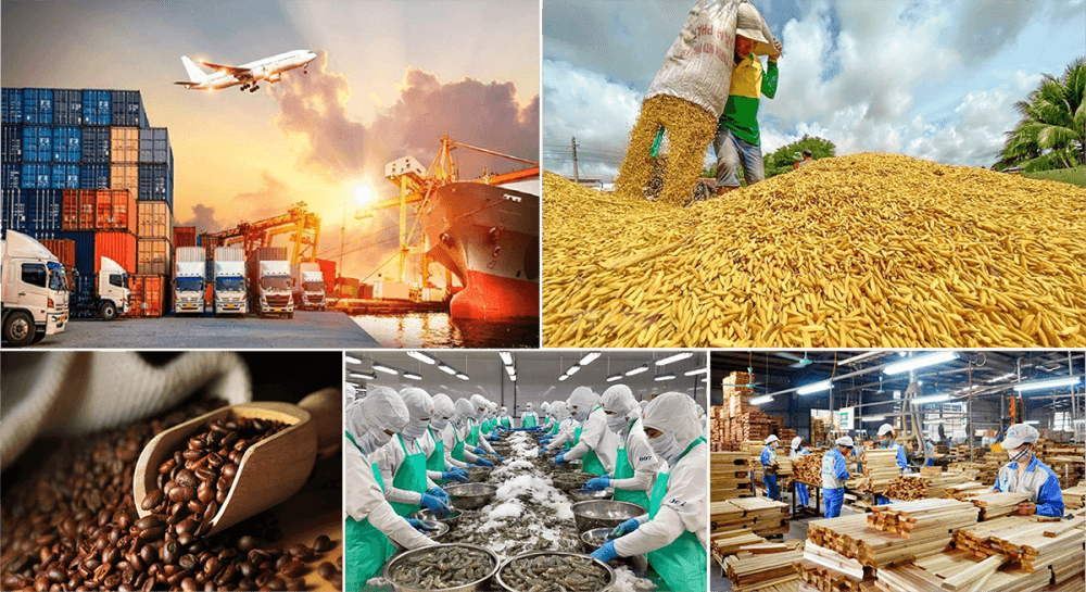 Xuất khẩu Việt Nam vừa lập kỳ tích giữa 'bão' kinh tế toàn cầu