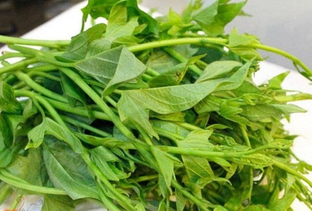 Ăn rau chợ, nhận công dụng 'như uống nhân sâm': 2 loại rau bán khắp chợ Việt, giá chỉ 5.000 đồng/bó nhưng bất bại về công dụng