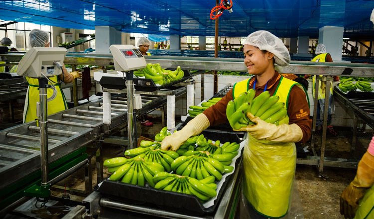 Việt Nam tăng tốc chiếm lĩnh thị trường Campuchia, mục tiêu thương mại 20 tỷ USD nằm trong tầm tay - ảnh 2
