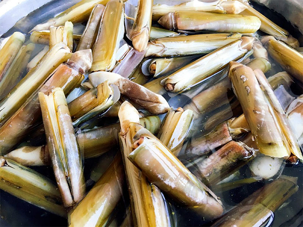 Loại hải sản rẻ tiền nhưng là 'kho sắt' tự nhiên, xưa bị ngó lơ nay thành đặc sản được mê tít vì giòn ngọt, 'ăn là nghiện'