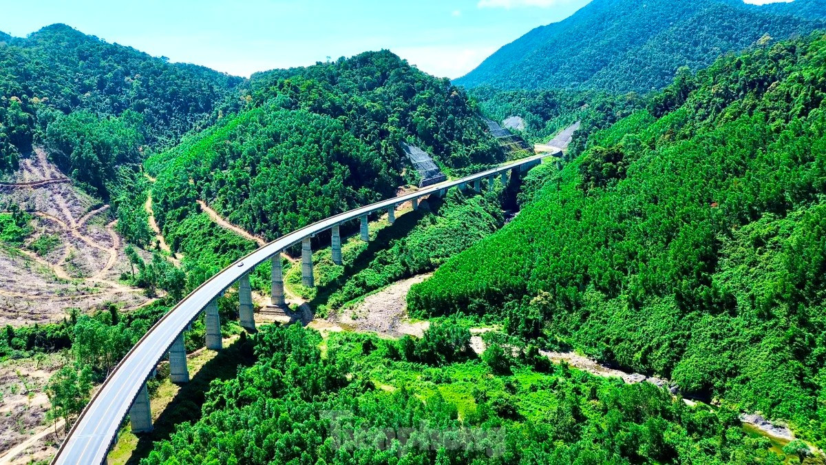 Chiêm ngưỡng tuyến cao tốc duy nhất qua 'kho báu' sinh học quốc gia của Việt Nam vừa khởi công- Ảnh 3. Chiêm ngưỡng tuyến cao tốc duy nhất qua 'kho báu' sinh học quốc gia của Việt Nam vừa khởi công- Ảnh 3.