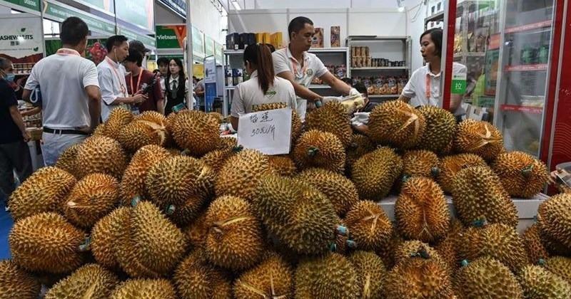112 trang trại của láng giềng Việt Nam được xuất khẩu sầu riêng sang Trung Quốc