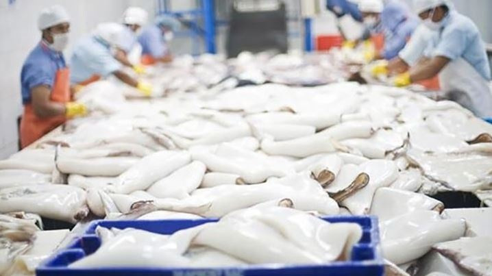 Loài động vật nhiều chân từ Việt Nam 'gây sốt' ở Hàn Quốc, Nhật Bản: Đã xuất sang hơn 20 thị trường lớn, mục tiêu 700 triệu USD trong tầm tay