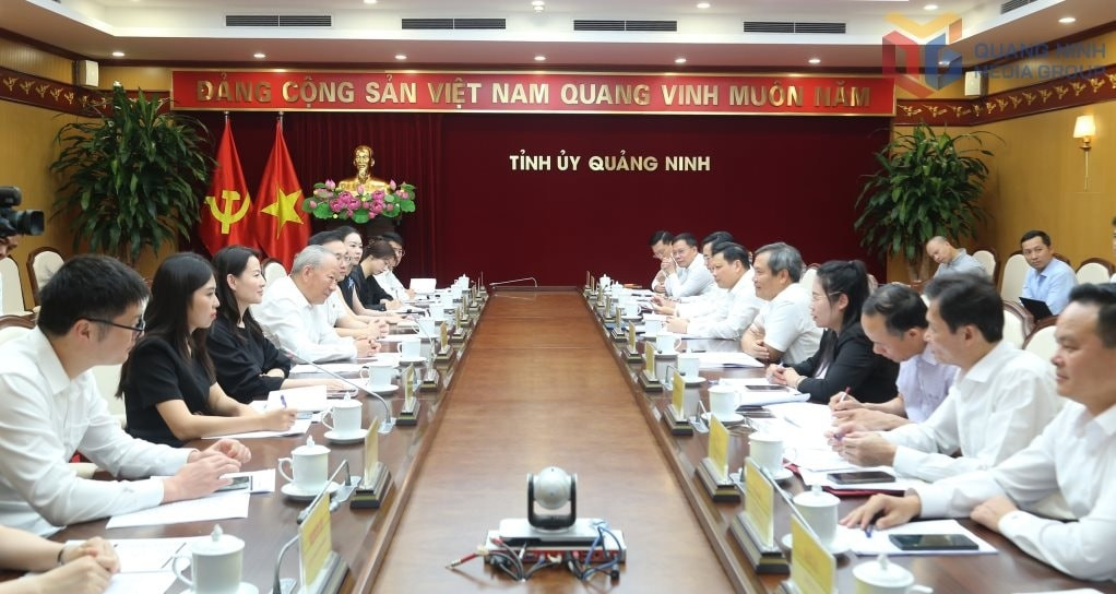 Bắt tay Vingroup, Vinaconex làm loạt dự án gần 85.000 tỷ, đại gia Trung Quốc nhắm tiếp dự án hầm vượt biển lớn nhất Việt Nam