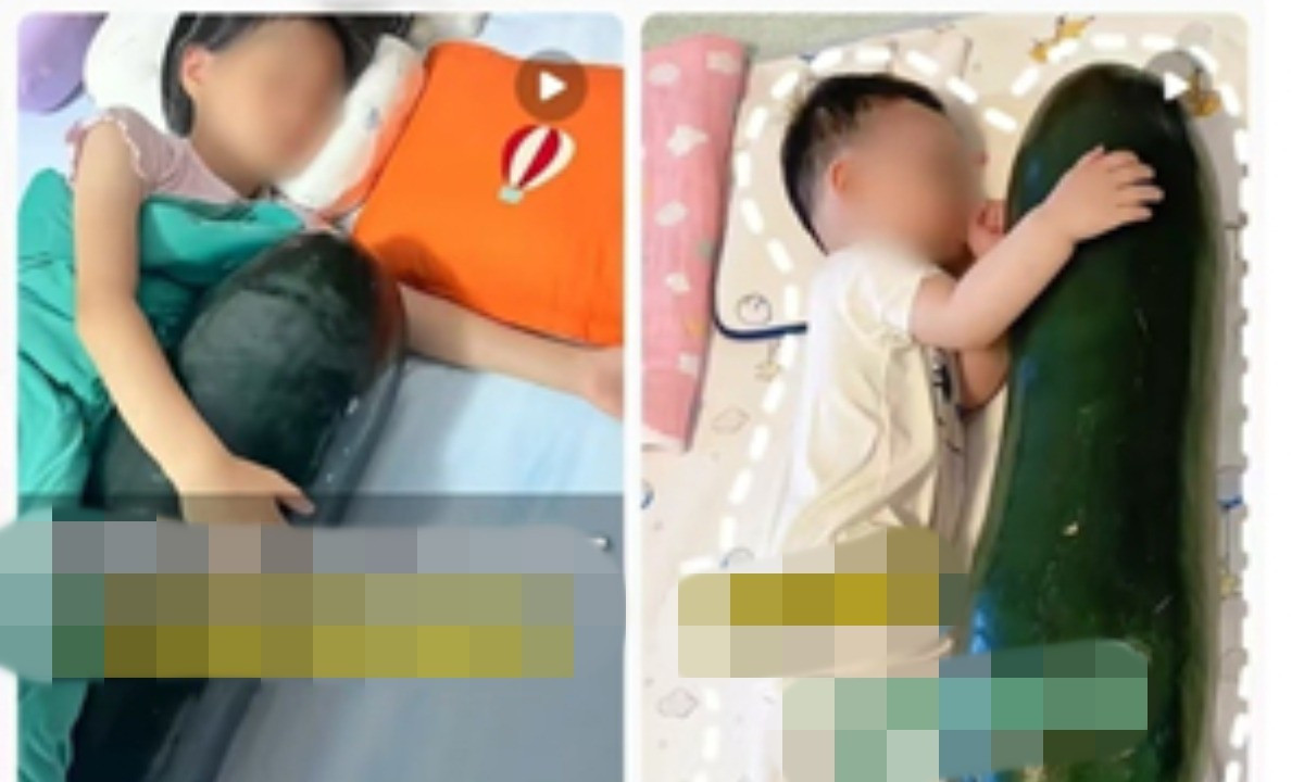 Một số hình ảnh ôm bí đao đi ngủ được chia sẻ trên mạng xã hội. (Ảnh: Hoàn cầu Thời báo) c55485f0-f685-46b5-8690-11ca8a2d-716.jpg
