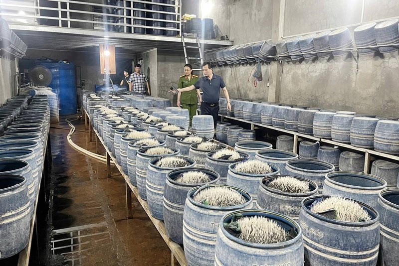 Truy tố vợ chồng Lê Thị Thắm - ảnh 2