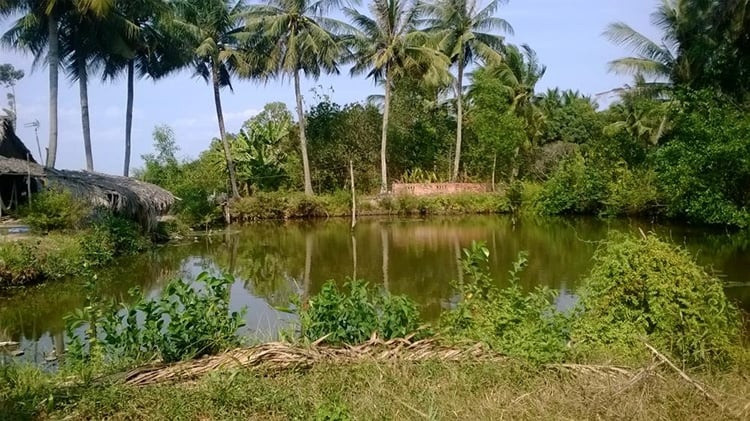 Hộ dân chuyển đất nông nghiệp sang đất ở có thể ‘thoát’ gánh nặng tiền tỷ theo đề xuất mới