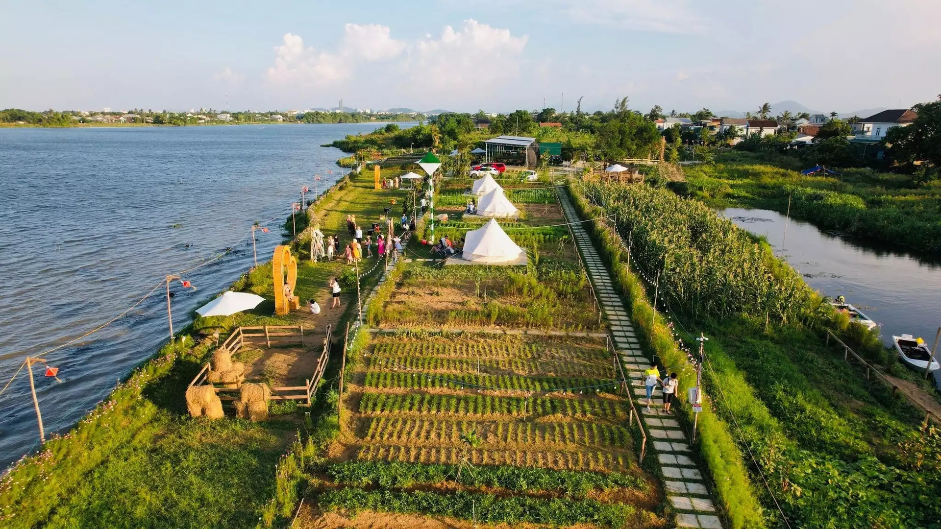 Nông trại giáo dục bị phạt vì lấn đất công ích, chính quyền cảnh báo thu hồi đất- Ảnh 1. Nông trại giáo dục bị phạt vì lấn đất công ích, chính quyền cảnh báo thu hồi đất- Ảnh 1.