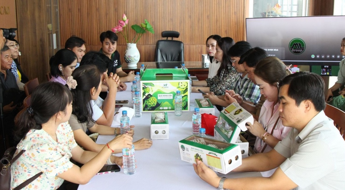 Nông dân Tây Ninh từ trai làng ‘đổi đời’ nhờ trồng quả có vị chua nhẹ lại rất thơm ngon: Du khách nô nức tới thăm, ‘chụp lấy chụp để’