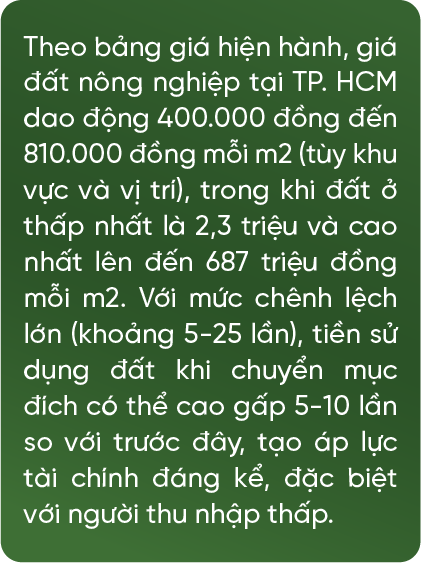 asset-6(1).png