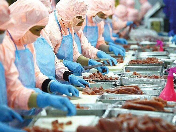 Ngành hàng 10 tỷ USD của Việt Nam lọt Top 2 tại Brazil, một công ty niêm yết đánh trận đầu