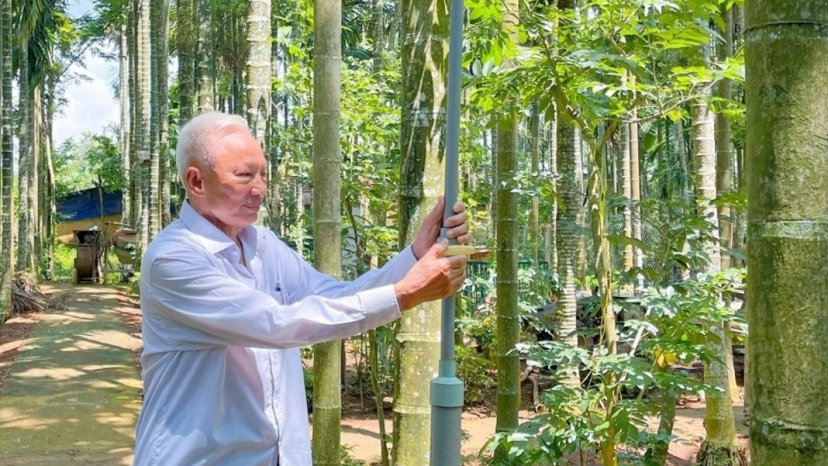 Nông dân Đắk Lắk trồng loại cây cao vút tưởng chỉ làm hàng rào, từ 4ha mà kiếm tiền tỷ: Hàng xóm xung quanh phục lăn
