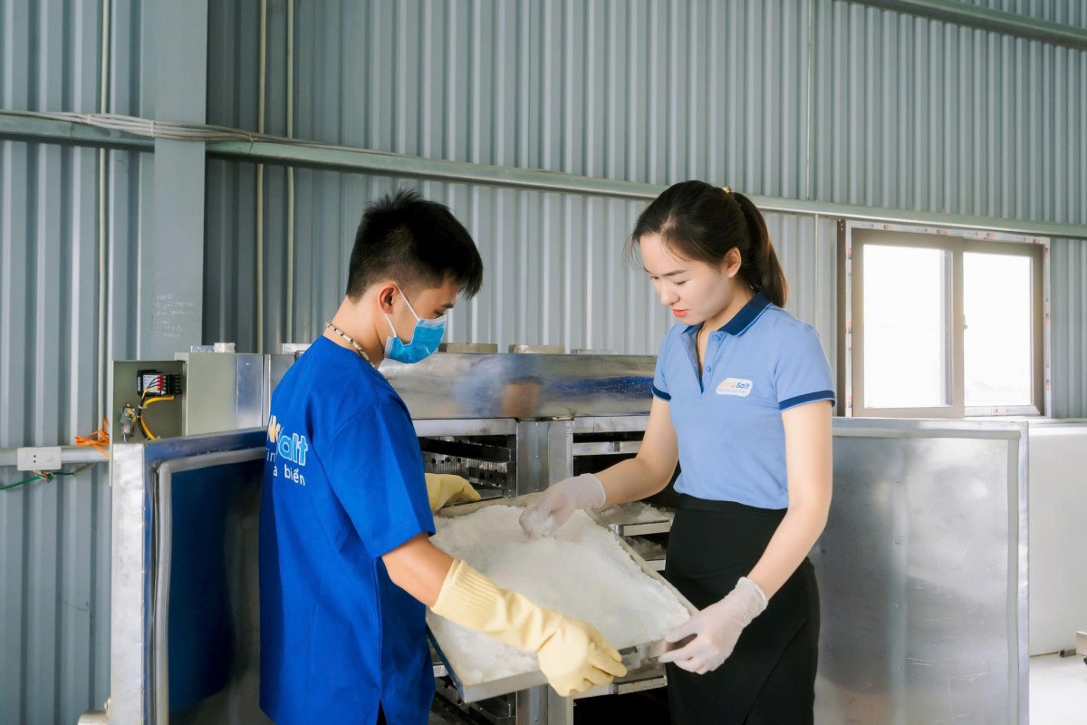 Tốt nghiệp Ngoại thương, cô gái 9X quyết tâm về quê khởi nghiệp 'hồi sinh' tinh hoa biển cả