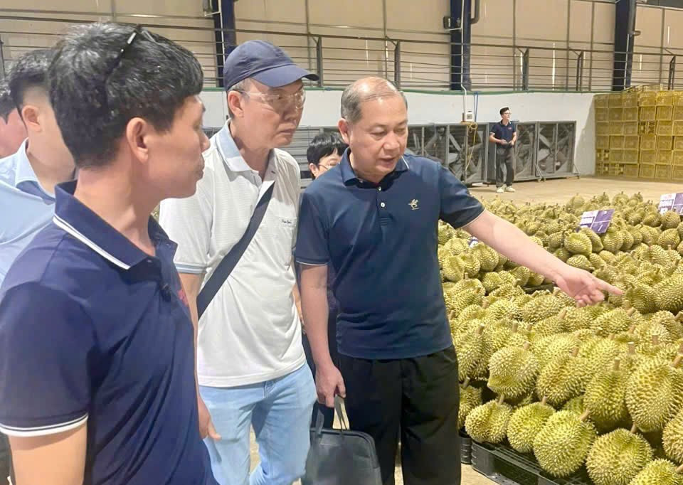 Đoàn của Tổng cục Hải quan Trung Quốc khảo sát một cơ sở đóng gói sầu riêng quy mô lớn trên địa bàn Lâm Đồng. z6813529114550-4181b90ca4a1f868d70bc38f1e8e15ee.jpg