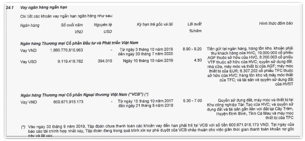 Thủy sản Hùng Vương (HVG) 'ôm' khối nợ 2.500 tỷ tại Vietcombank, BIDV trước khi dừng công bố BCTC
