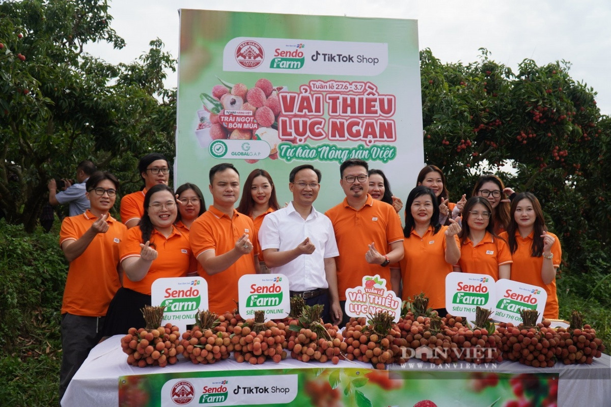 Đề xuất hỗ trợ 3.300 xã, phường bán nông sản online: Không thể cái gì ngon nhất thì đem đi xuất khẩu