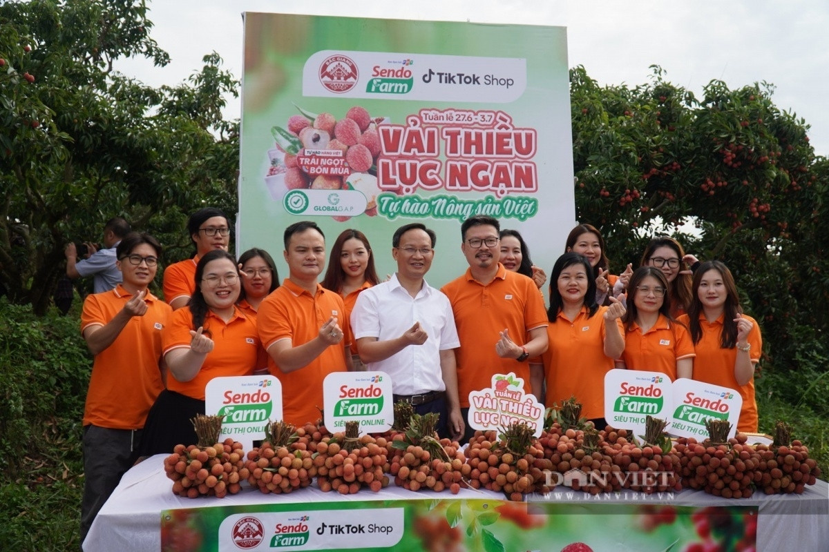 Đề xuất hỗ trợ 3.300 xã, phường bán nông sản online: Không thể cái gì ngon nhất thì đem đi xuất khẩu