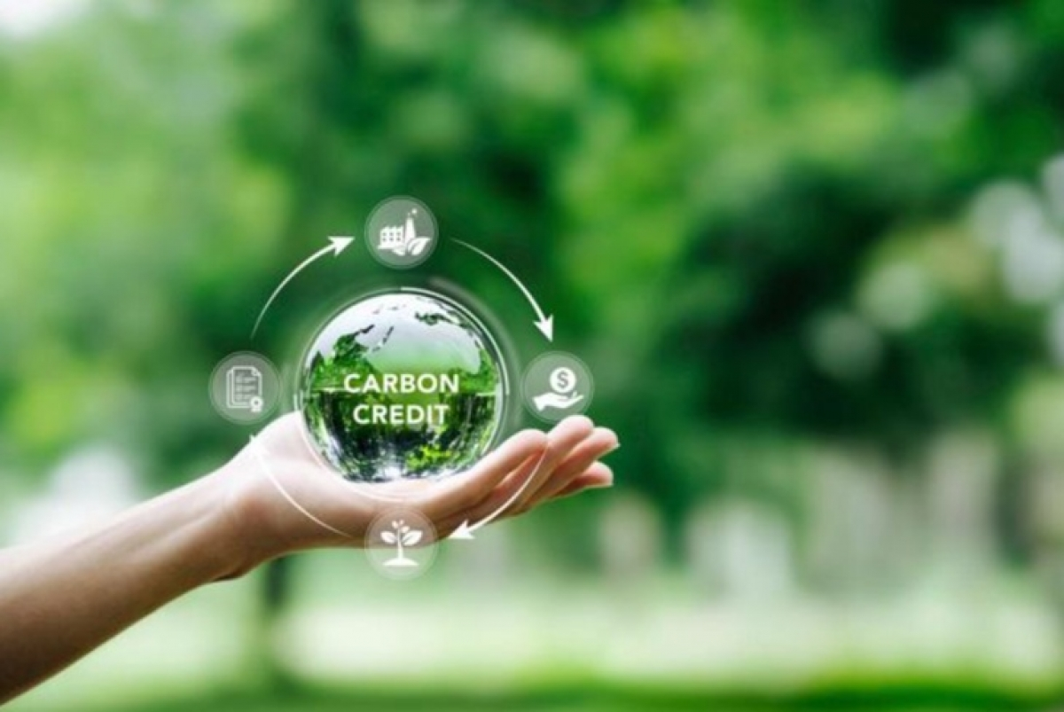 Phó Chủ tịch EuroCham: Tín chỉ carbon là tranh Van Gogh thời hiện đại, biết kể chuyện mới bán được giá