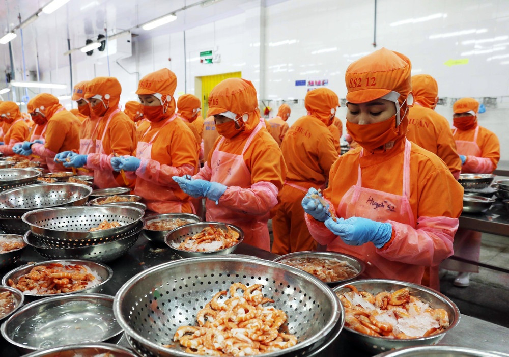 Lần đầu tiên sản xuất thành công tại Việt Nam, ‘vũ khí’ mới của ngành kinh tế tỷ đô