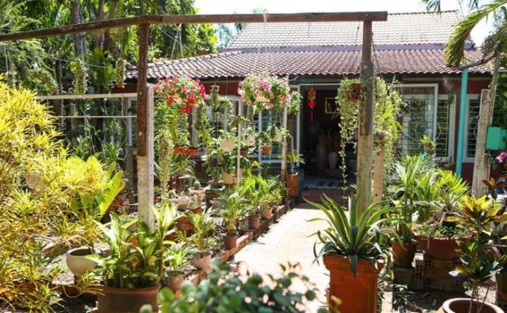 Biệt thự sân vườn giữa lòng TP của nam ca sĩ điển trai 'hiền nhất trong giới thị phi': Rộng 3.000m2 phủ toàn cây xanh, thiết kế độc đáo- Ảnh 5.
