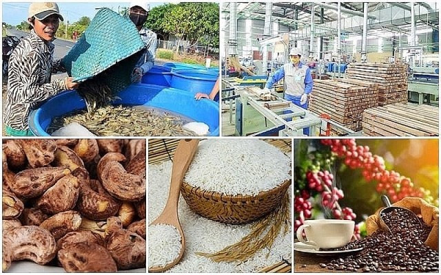 Kim ngạch xuất khẩu nông sản chủ lực của Việt Nam tăng vọt 60%