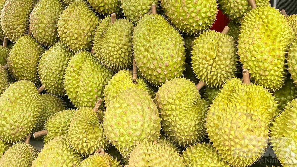 Sầu riêng phục hồi, dừa, xoài, chanh leo tăng tốc: Ngành rau quả đón tin vui lớn