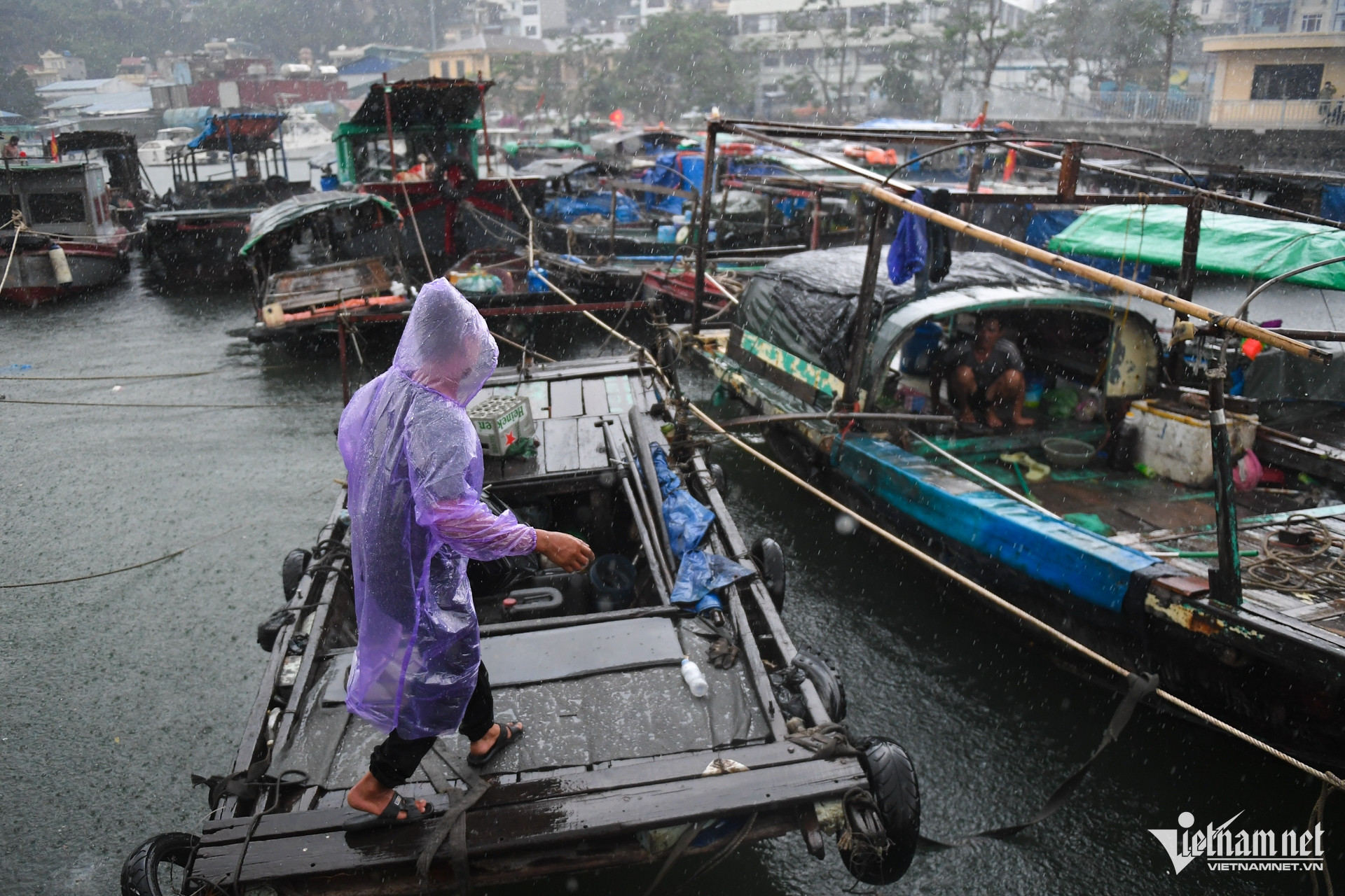 W-Bao Wipha Quang Ninh 14.jpg