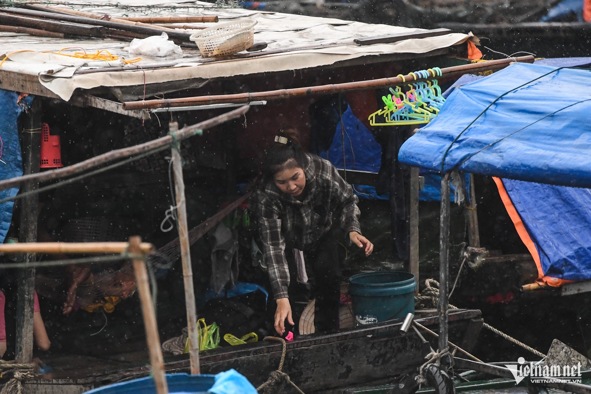 W-Bao Wipha Quang Ninh 2.jpg