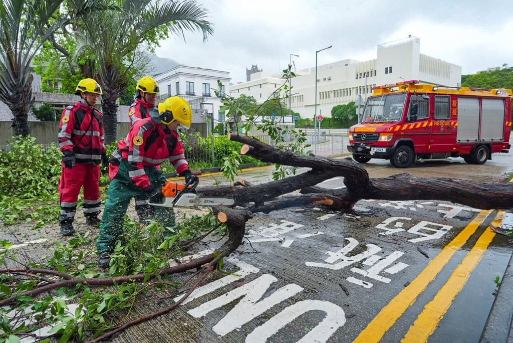 Dọn dẹp sau bão ở Hồng Kông. (Ảnh: SCMP) 2abca1c1-3878-4a06-9704-e9932c7a.jpg
