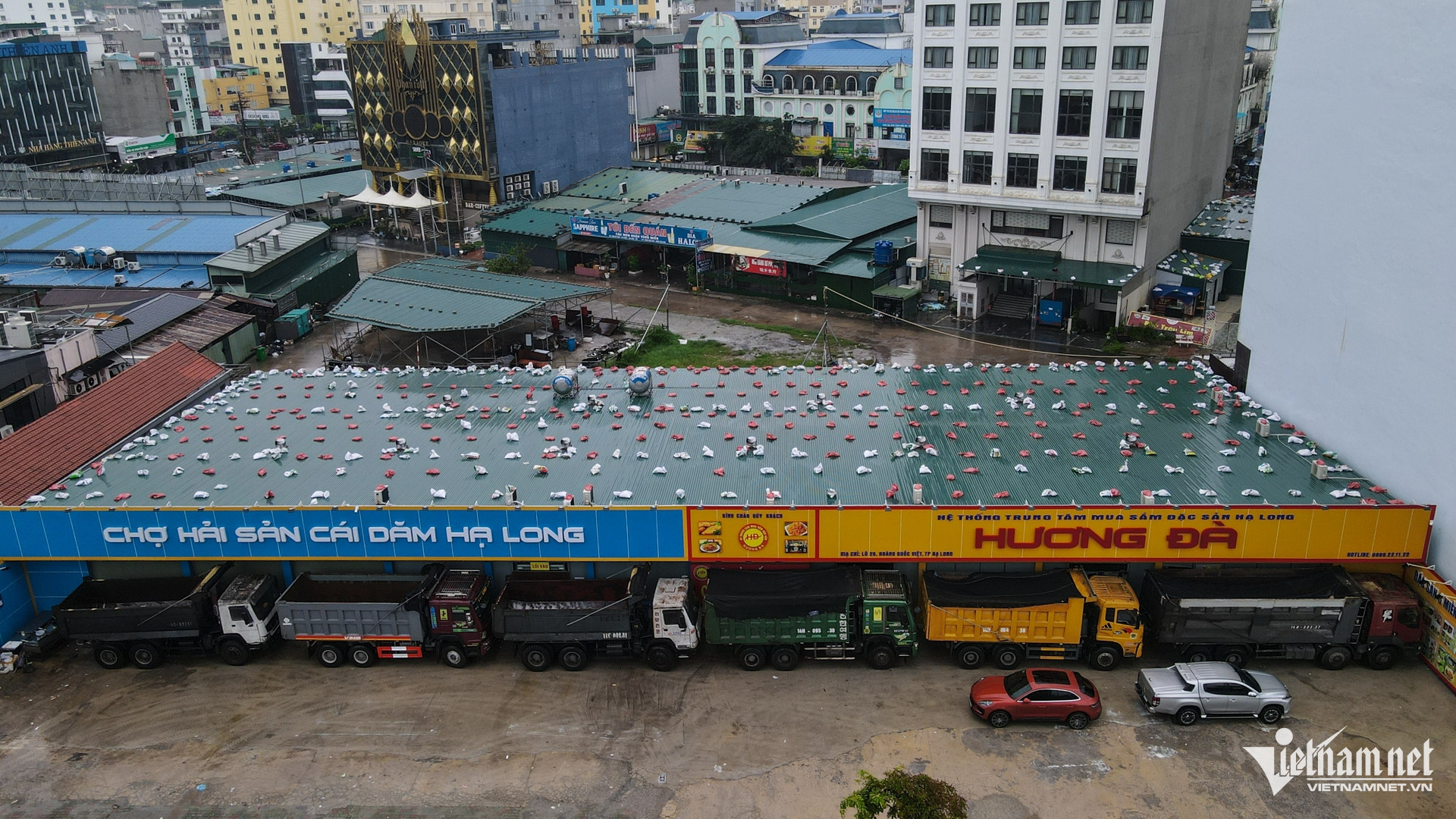 W-Bao Wipha Quang Ninh 20.jpg