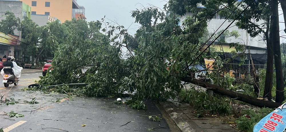 Bộ Công an ra công điện, yêu cầu Thủ trưởng các đơn vị trực thuộc Bộ, Ban Chỉ huy ƯPT Công an các tỉnh, thành phố khẩn trương thực hiện nhiệm vụ quan trọng - ảnh 3