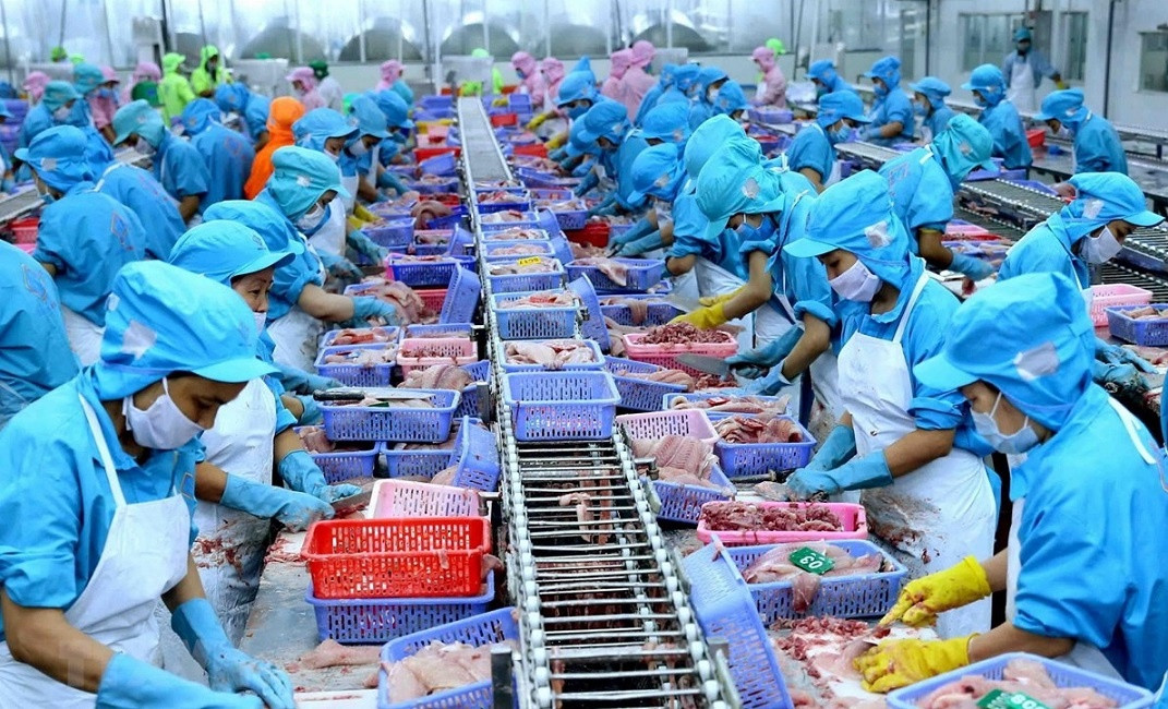 Trung Quốc bất ngờ gom mạnh, mặt hàng thủy sản chủ lực của Việt Nam tăng giá kỷ lục