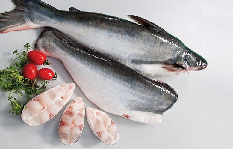 Loại cá dễ nuôi vừa mang về cho Việt Nam 1 tỷ USD
