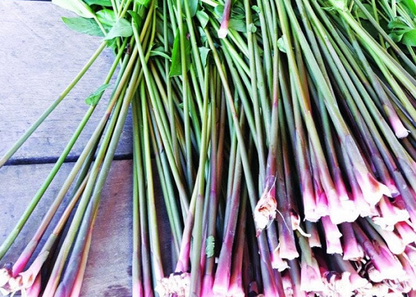 Thứ tưởng chỉ nhổ vứt đi lại là đặc sản ngon lạ lùng, dân thành phố ưa chuộng giá tới 50.000 đồng/kg