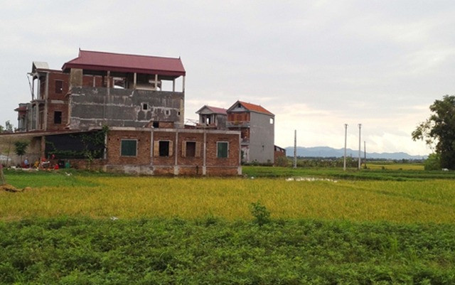 Từ giờ, xây nhà trái phép trên đất nông nghiệp sẽ bị xử phạt nghiêm khắc- Ảnh 1.