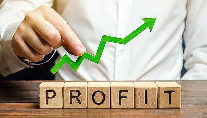 Điểm danh 5 doanh nghiệp đầu tiên báo lãi quý II/2025 tăng trên 1.000%