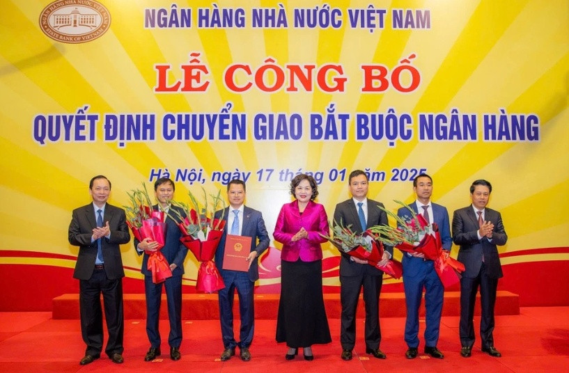 Thanh khoản tăng vọt: Vì sao HPG, SHB, HDB, SSI, VIX, VSC, EVF hút mạnh dòng tiền?
