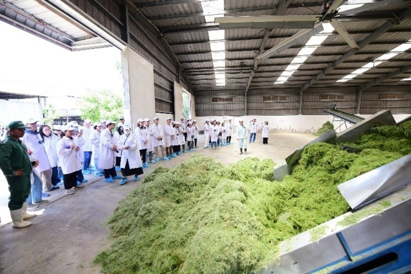 Trang trại Vinamilk Green Farm dưới lăng kính phát triển bền vững có gì đặc biệt?