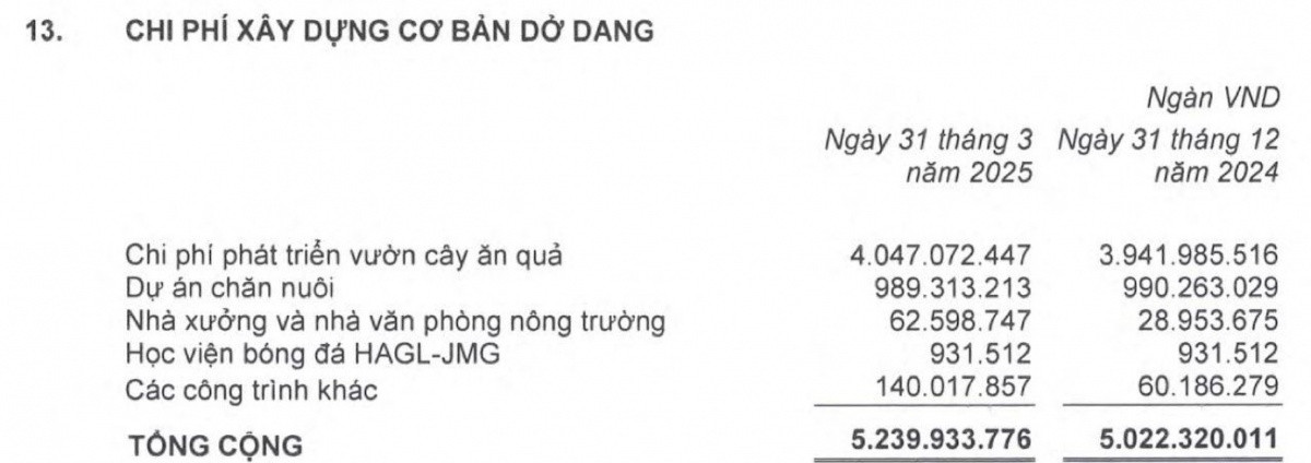 Một tổ chức độc lập định giá HAGL (HAG) ở mức 13.000 tỷ đồng