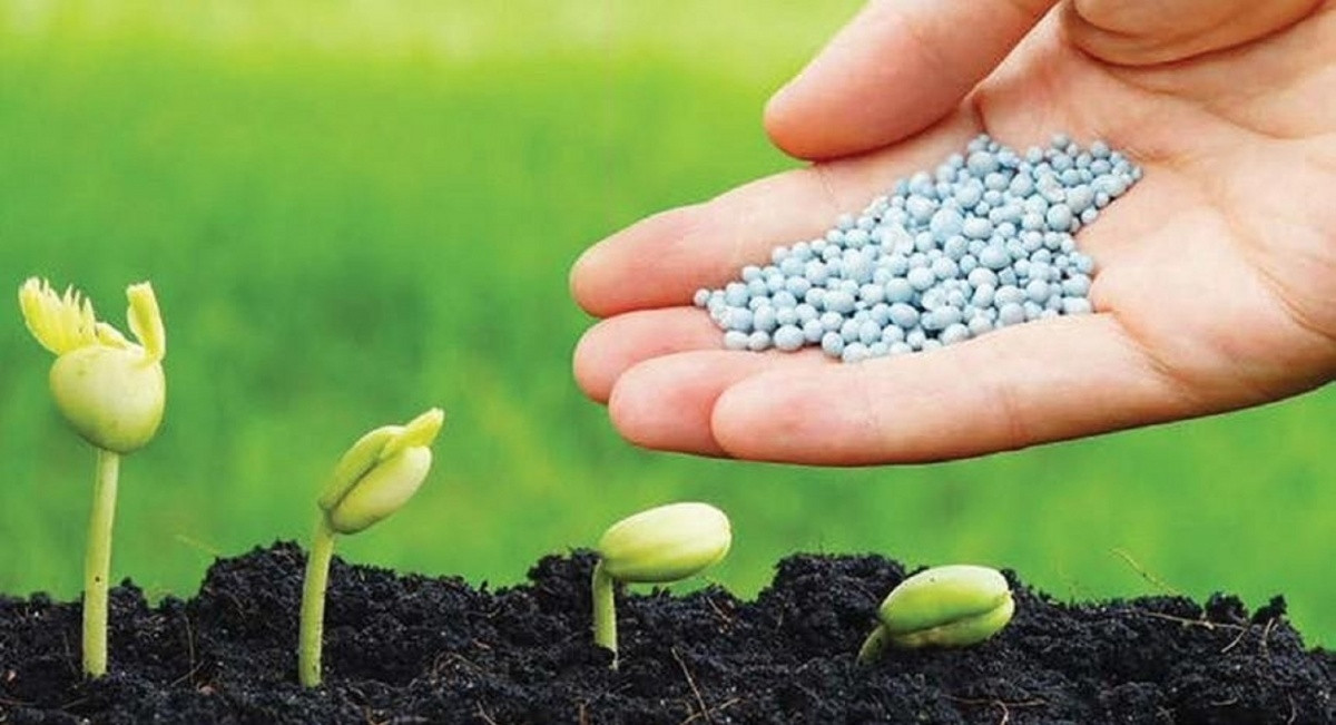 Đạm Phú Mỹ (DPM) 'trình làng' phân bón sử dụng công nghệ Tây Ban Nha