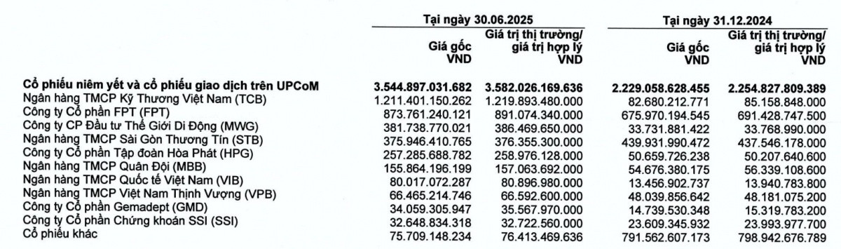Đem hơn 12 tỷ USD đi đầu tư, gần 80 công ty chứng khoán phân bổ dòng tiền ra sao?